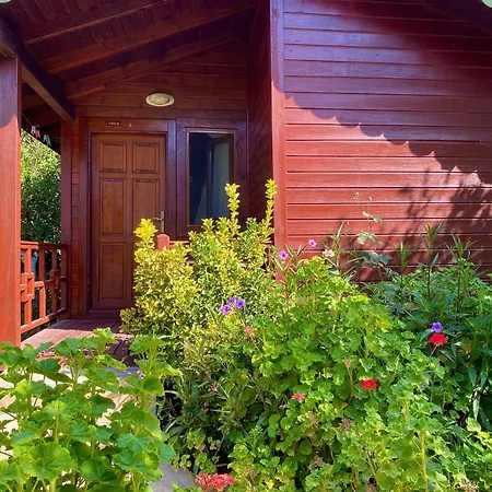 ベッド・アンド・ブレックファスト Safir Çıralı