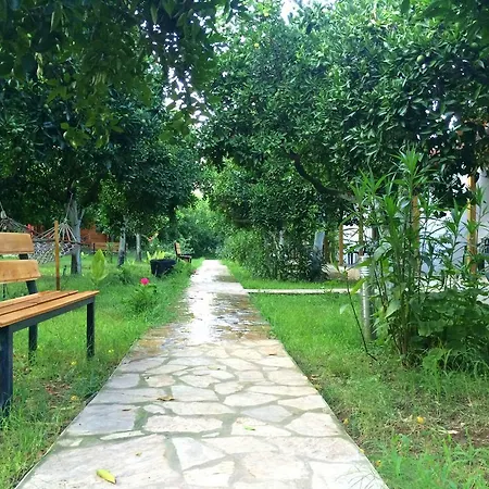 ベッド・アンド・ブレックファスト Safir Çıralı