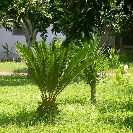 ベッド・アンド・ブレックファスト Safir 4*