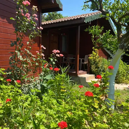 Safir Çıralı