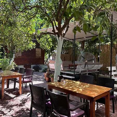 Bed and Breakfast Safir