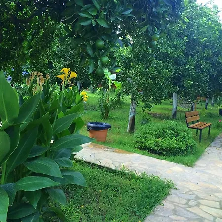 Bed and Breakfast Safir 4*