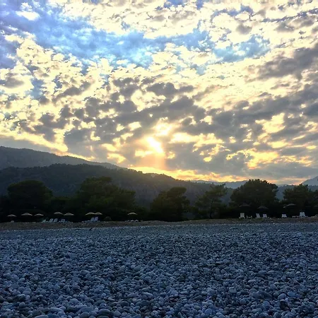 Bed and Breakfast Safir