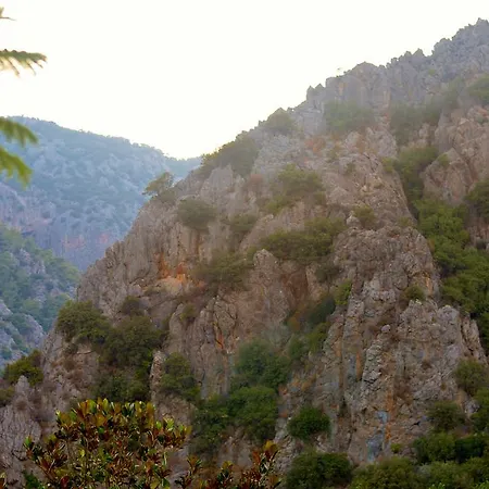 Safir Çıralı