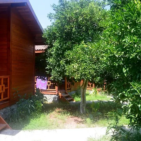 Safir Cirali