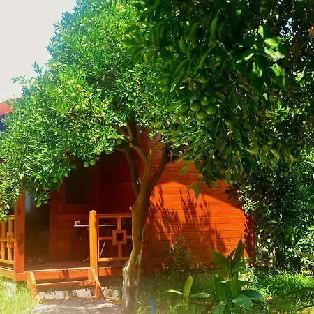 Bed and Breakfast Safir 4*