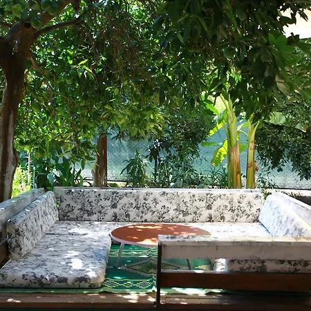 Bed and Breakfast Safir 4*