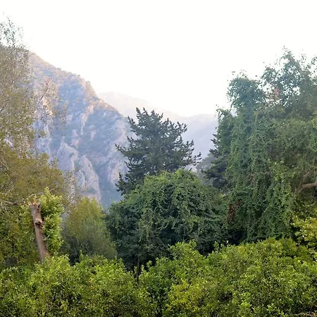 Bed and Breakfast Safir Çıralı