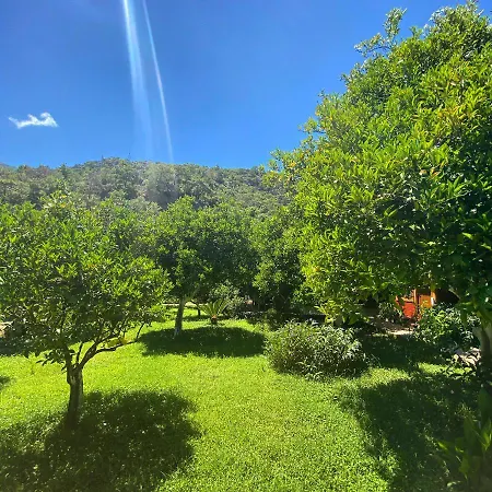 Safir Bed and Breakfast