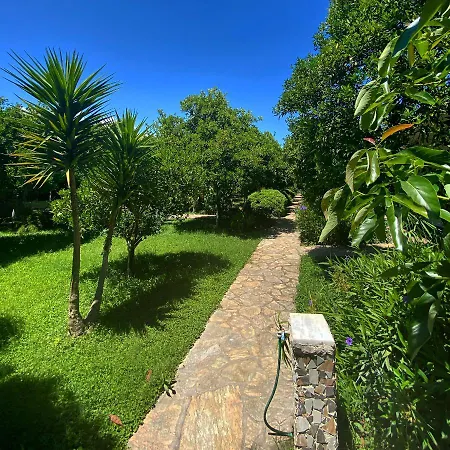 Bed and Breakfast Safir