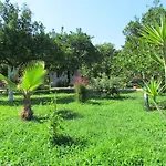 Safir 4* Çıralı