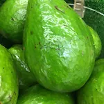 לינה וארוחת בוקר Safir