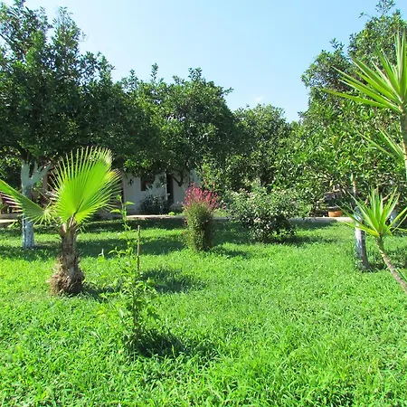 Safir 4* Çıralı