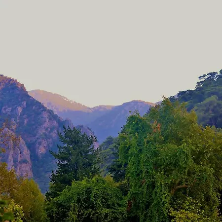 Safir Çıralı